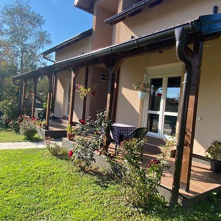 Kod Cika Brke Apartment Vrdnik Bagian luar foto